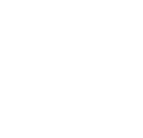 Ashley Madison logo