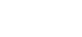 Nival logo